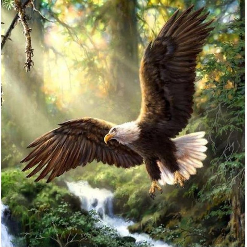 Soaring Eagle 5D DIY...