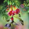 Bird And The Flower 5D DIY Paint By Diamond Kit